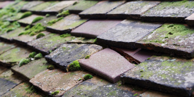 Sutton Cheney roof repair costs